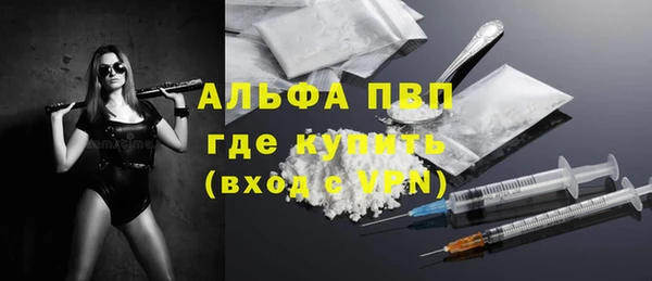 индика Белоозёрский
