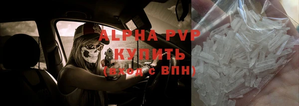 индика Белоозёрский