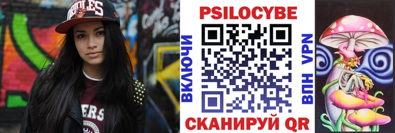 площадка клад omg сайт Кунгур Псилоцибиновые грибы Psilocybe